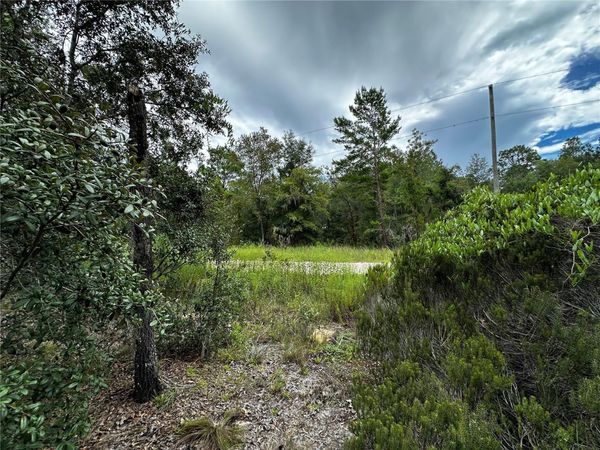 0000 NE 149TH COURT, WILLISTON, FL 32696