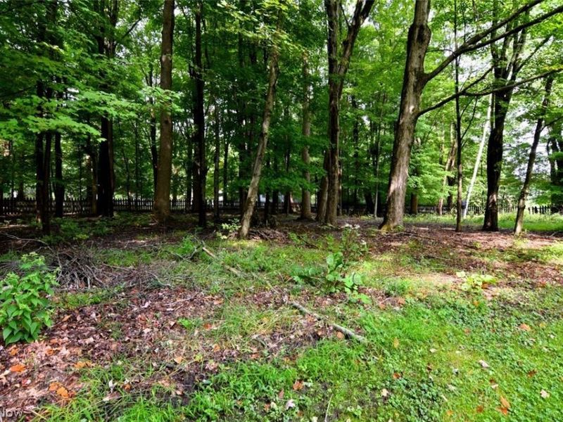 4240 Som Center Road, Moreland Hills, OH 44022 Photo 39