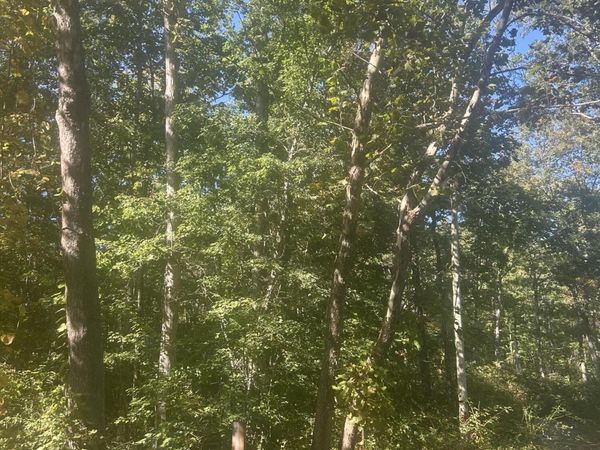 Timothy Drive, Crossville, TN 38572