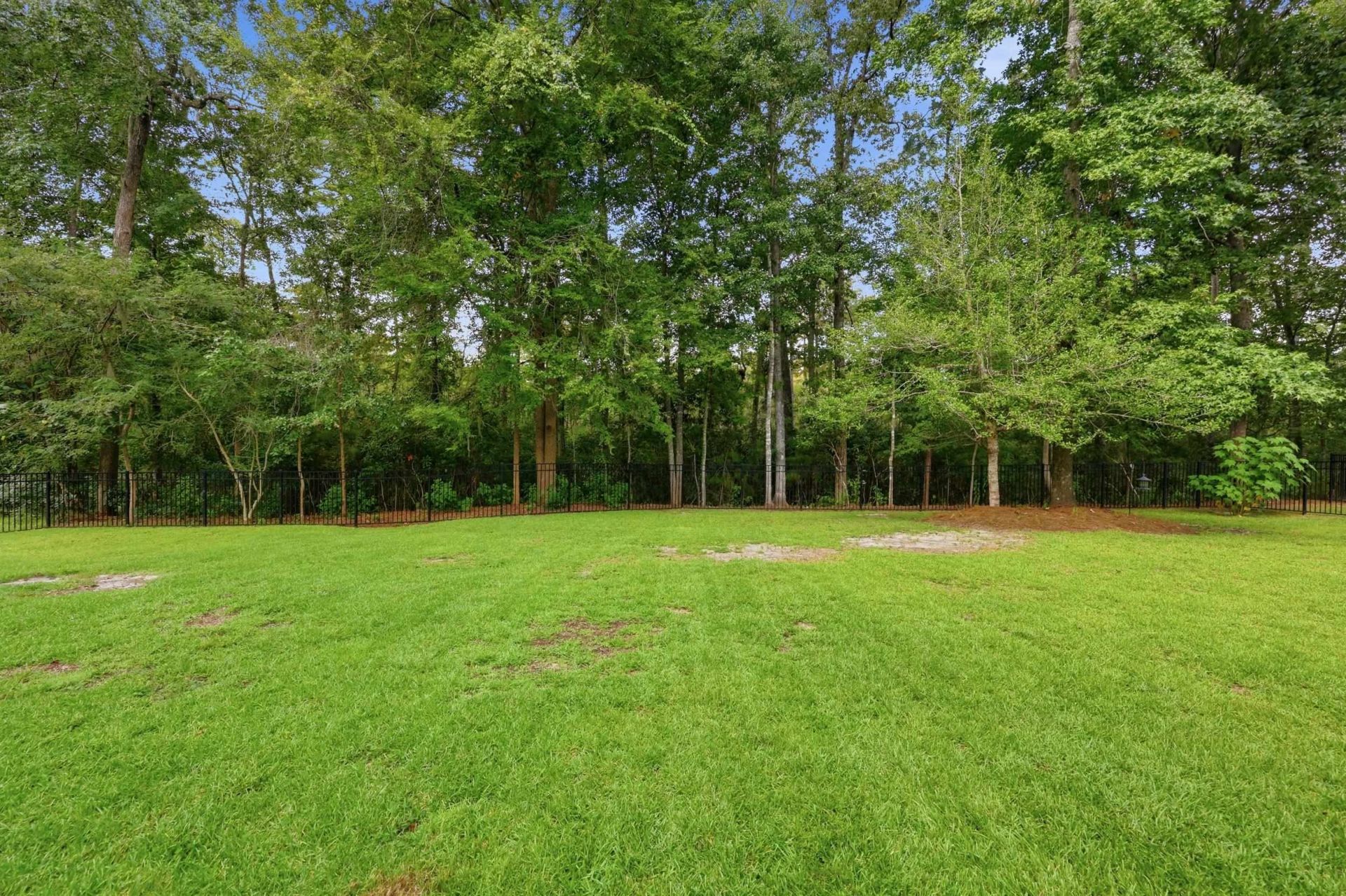 460 Chamberlin Dr. Photo 53