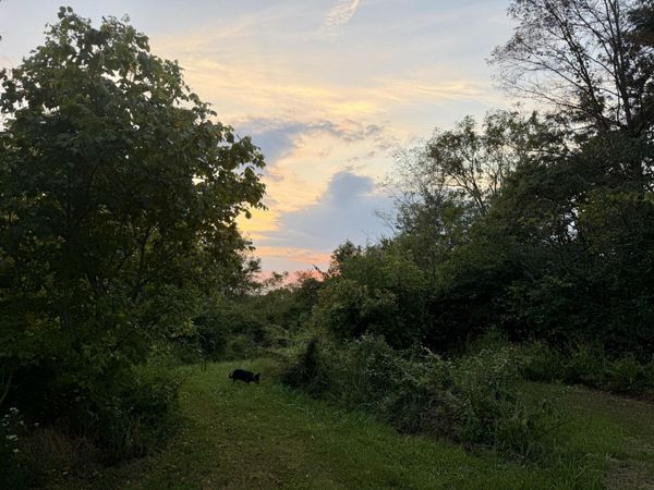 915 Reservoir Lane, Brooksville, KY 41004