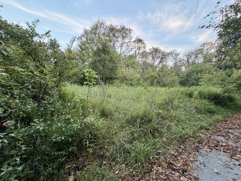 915 Reservoir Lane, Brooksville, KY 41004 Photo 6