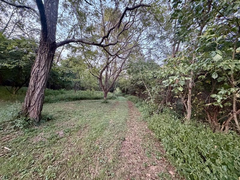 915 Reservoir Lane, Brooksville, KY 41004 Photo 7
