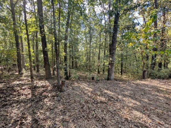 14159 New Hope Road , Omaha, AR 72662