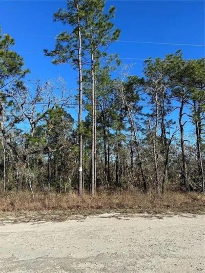 11107 Seattle Wren Avenue , Weeki Wachee, FL 34614 Main Photo