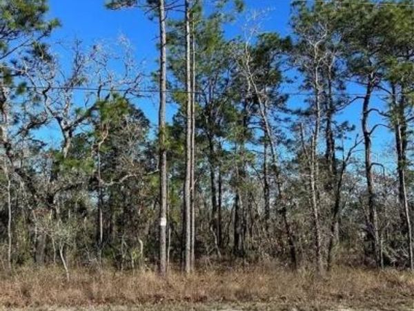 11107 SEATTLE WREN AVENUE , WEEKI WACHEE, FL 34614