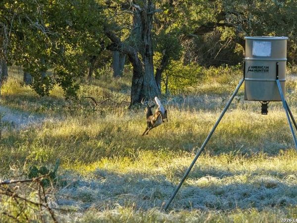 307 GOLD SCHAEFER RD, Fredericksburg, TX 78624