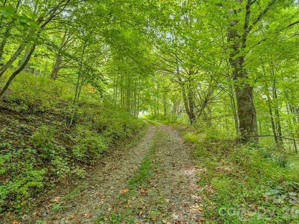 1768 Beaver Dam Road , Vilas, NC 28692