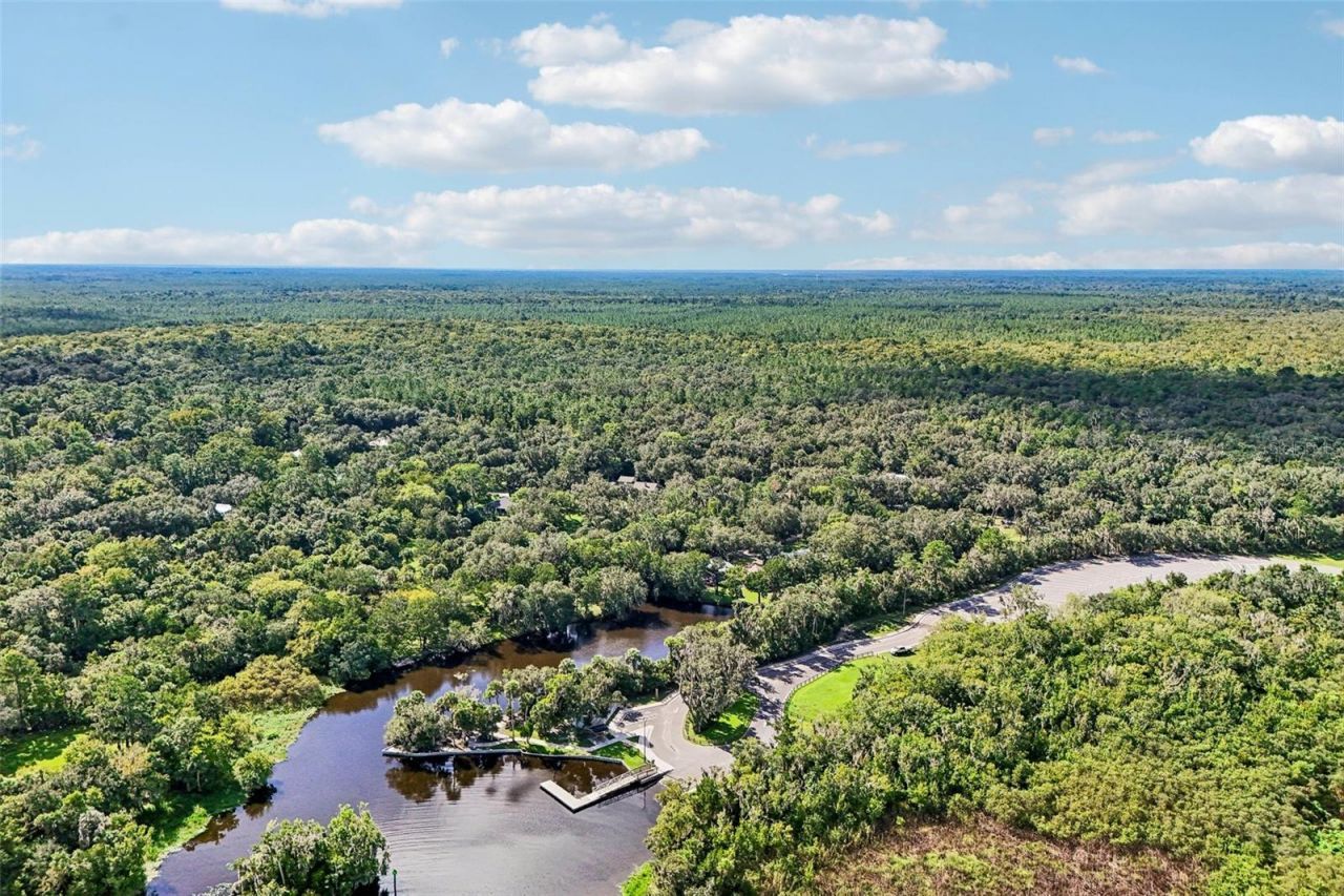 1656 Shell Harbor Road, Pierson, FL 32180 Photo