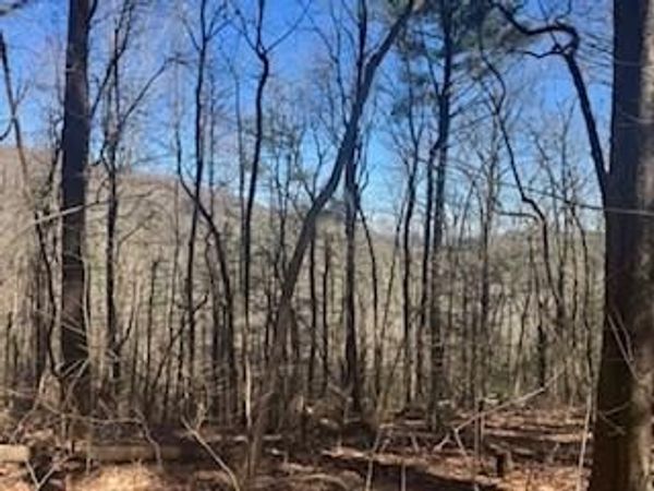 Lot 14 Butler Creek Road, Cherry Log, GA 30522