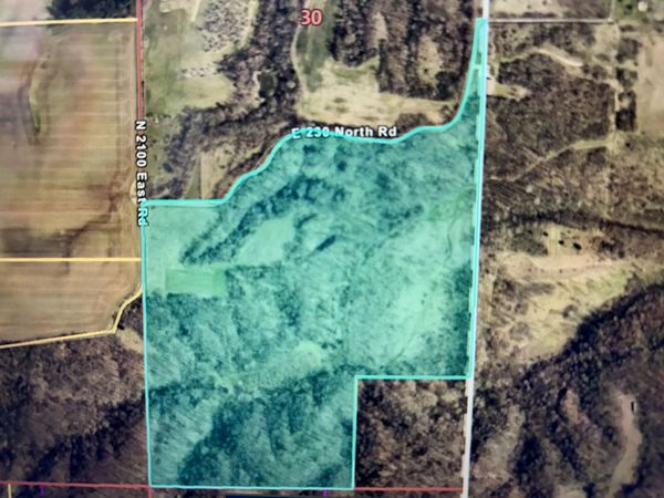 0 County Rd 230 N Road, Ridge Farm, IL 61870