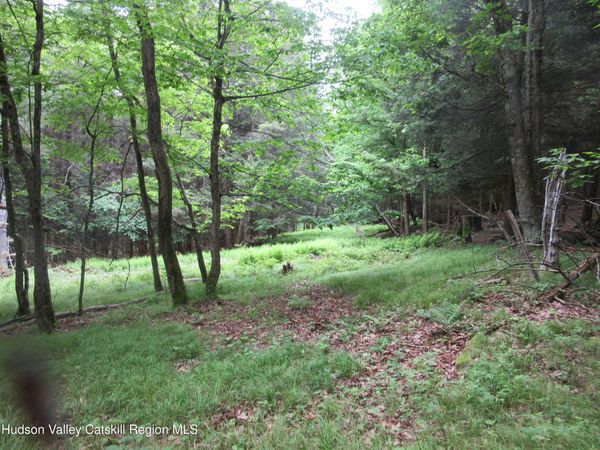 0 Airport Rd, Lot #4 , Lexington, NY 12452