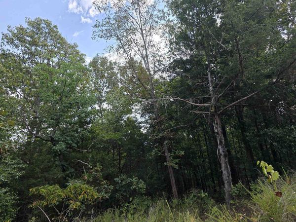 L8 B3 62/412 Highway , Hardy, AR 72542