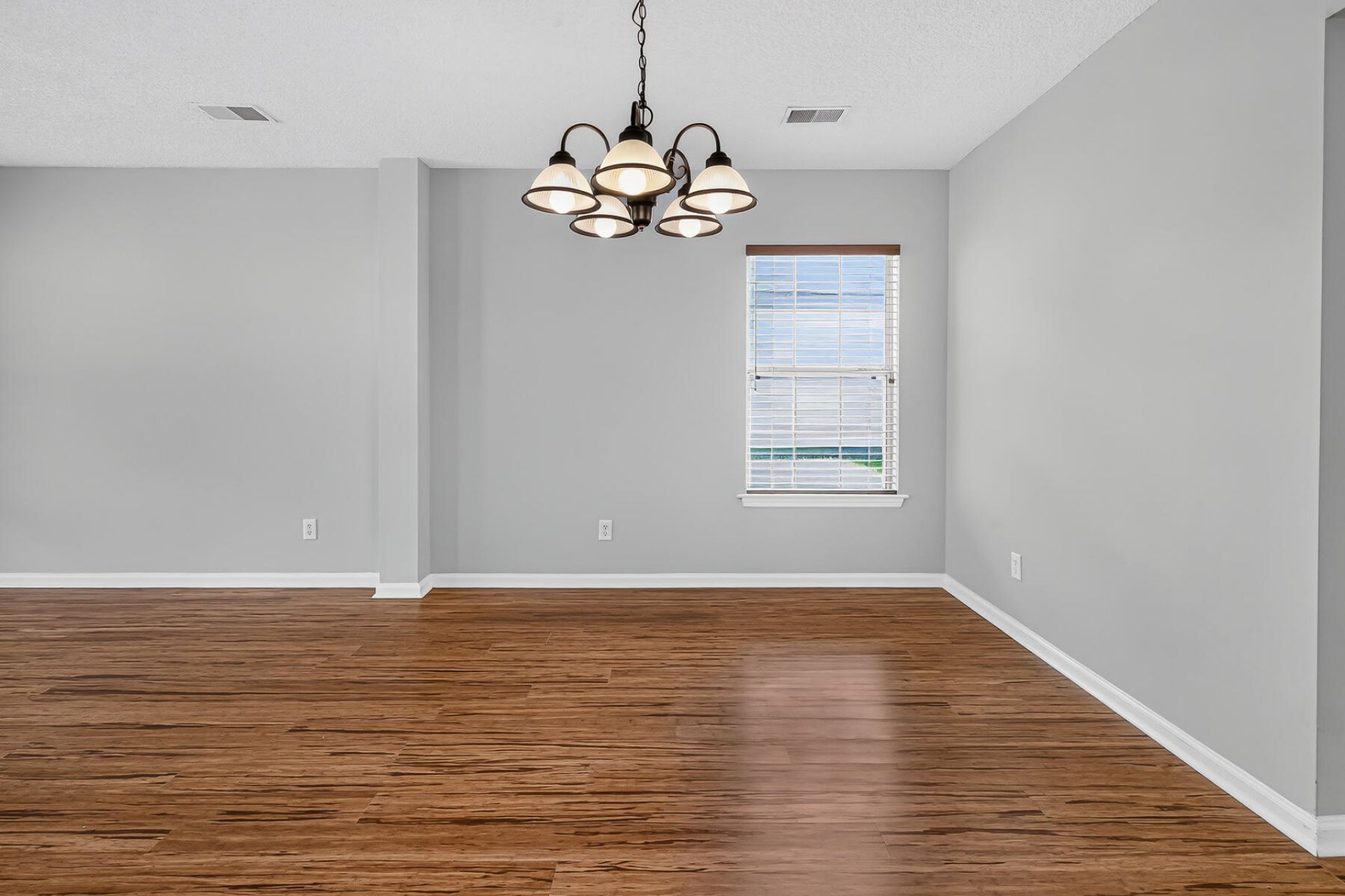 105 Sun Valley Court Photo 15