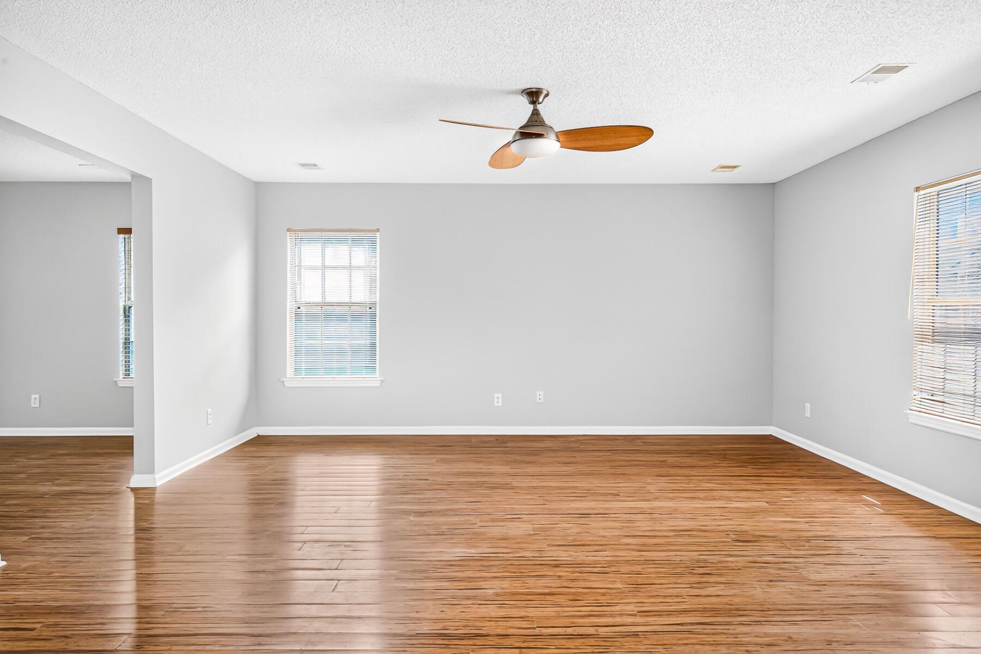 105 Sun Valley Court Photo 19