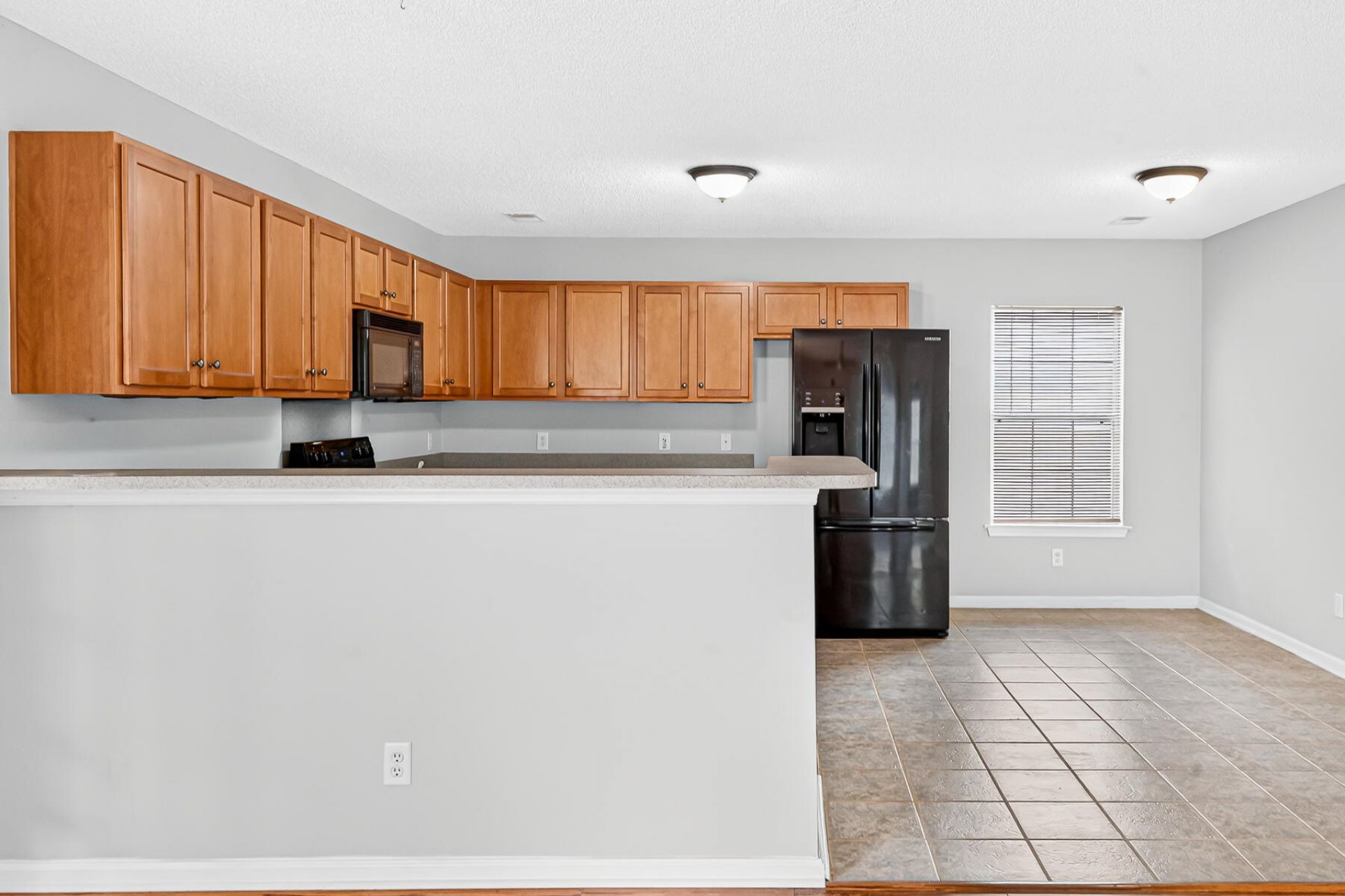 105 Sun Valley Court Photo 30