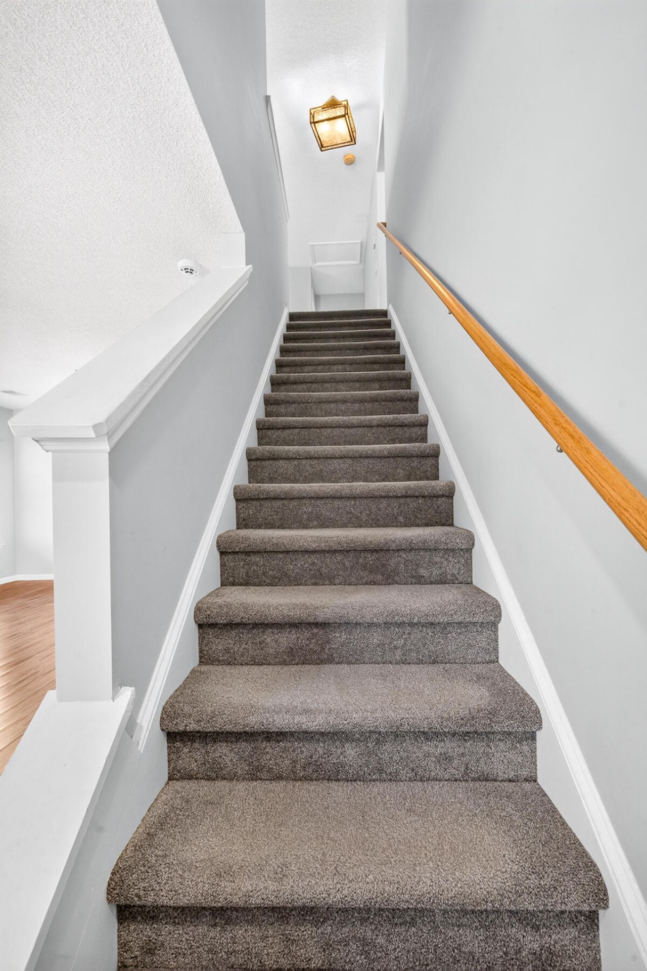 105 Sun Valley Court Photo 35