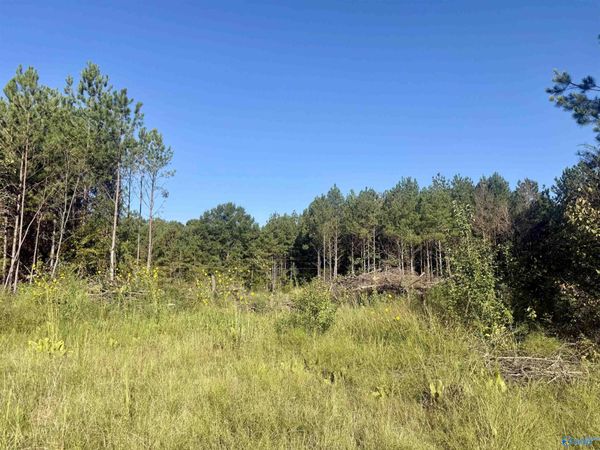 368 Jones Chapel Road, Piedmont, AL 36272