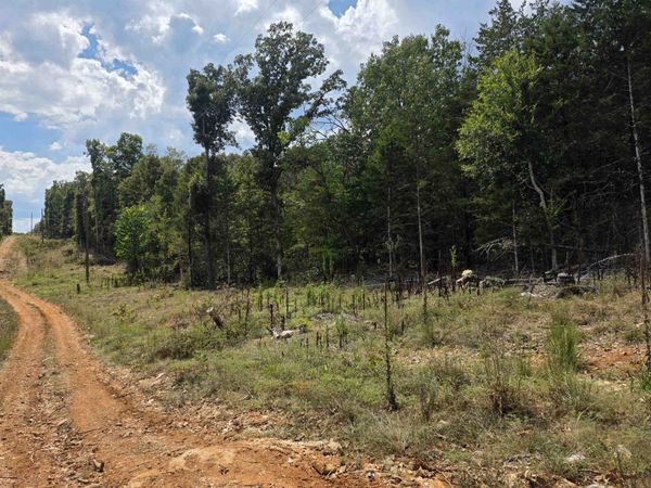 L38 B6 Old CC Road , Hardy, AR 72542