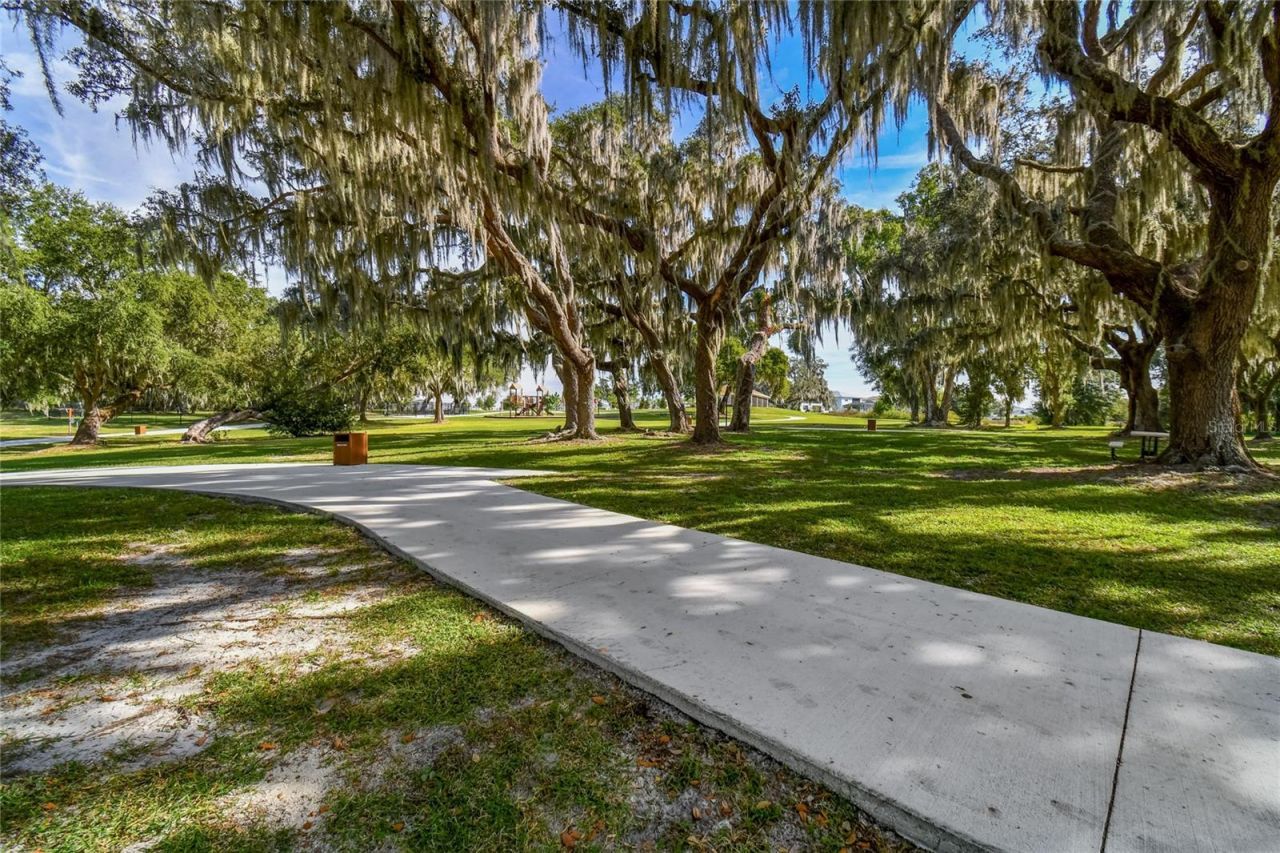 8699 Ivy Stark Boulevard, Wesley Chapel, FL 33545 Photo