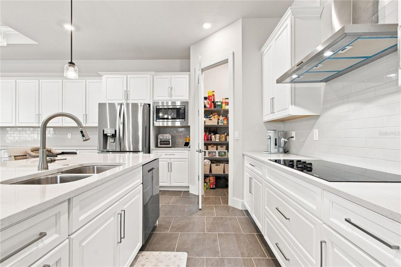 8699 Ivy Stark Boulevard, Wesley Chapel, FL 33545 Photo