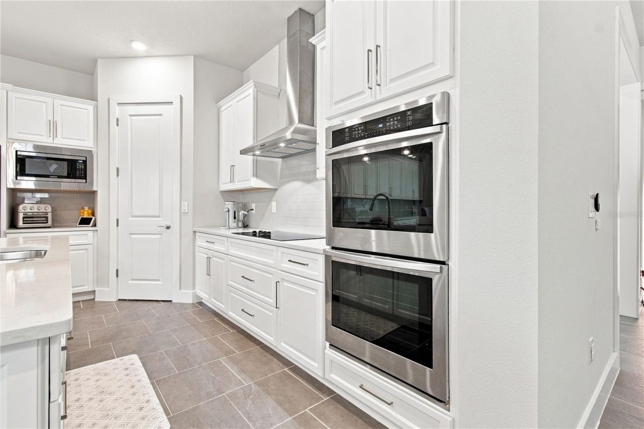 8699 Ivy Stark Boulevard, Wesley Chapel, FL 33545 Photo