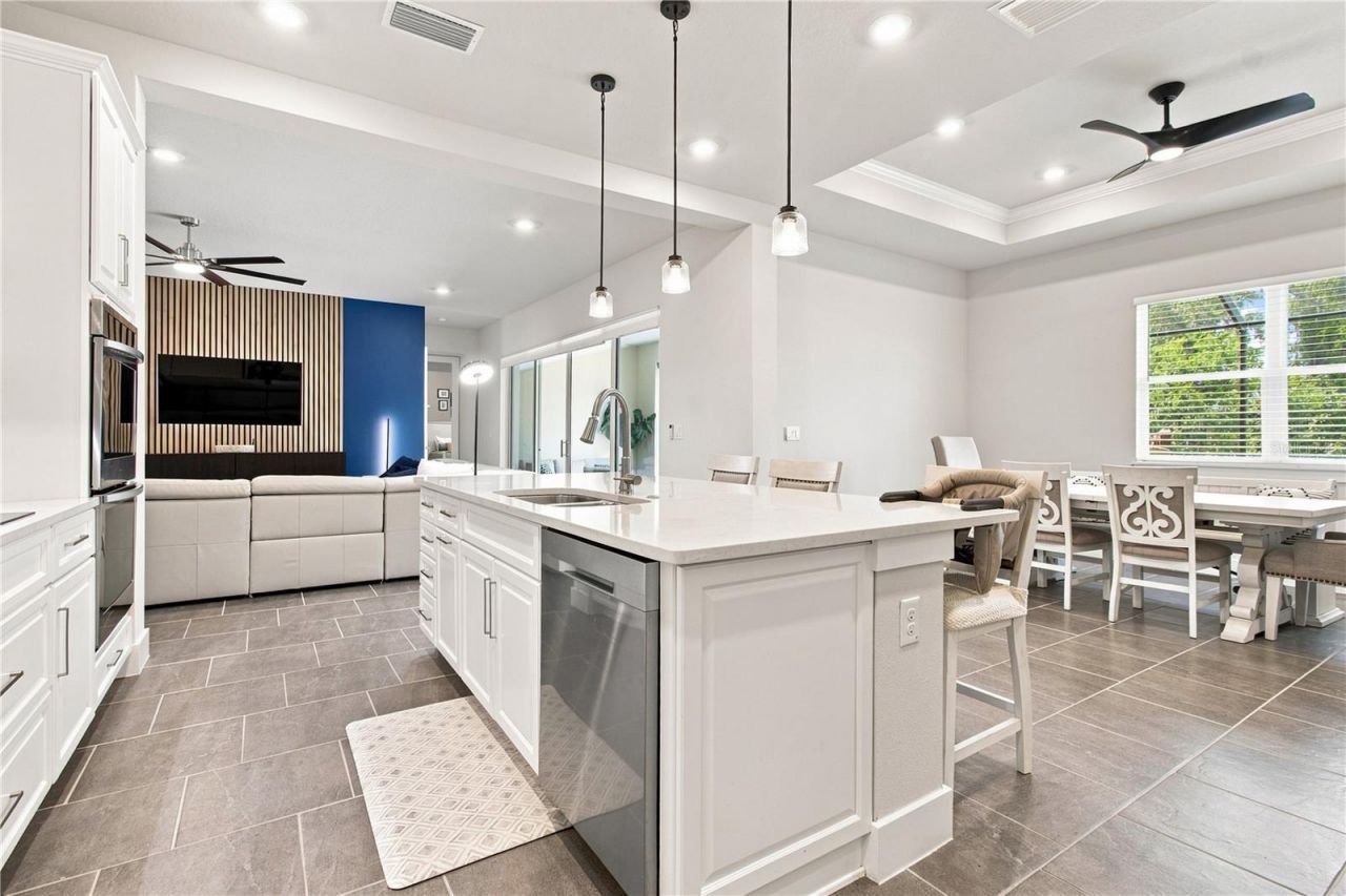 8699 Ivy Stark Boulevard, Wesley Chapel, FL 33545 Photo