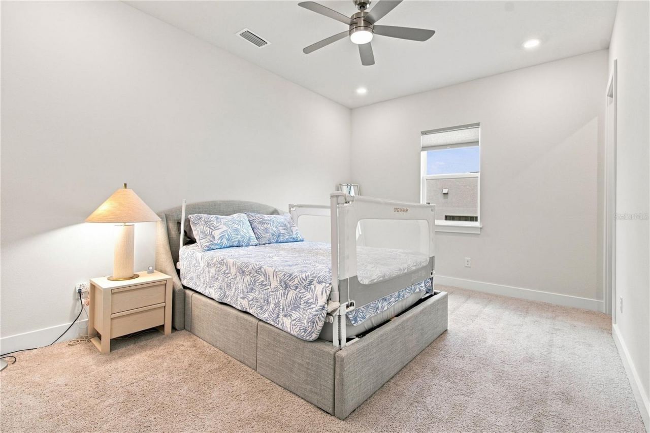 8699 Ivy Stark Boulevard, Wesley Chapel, FL 33545 Photo
