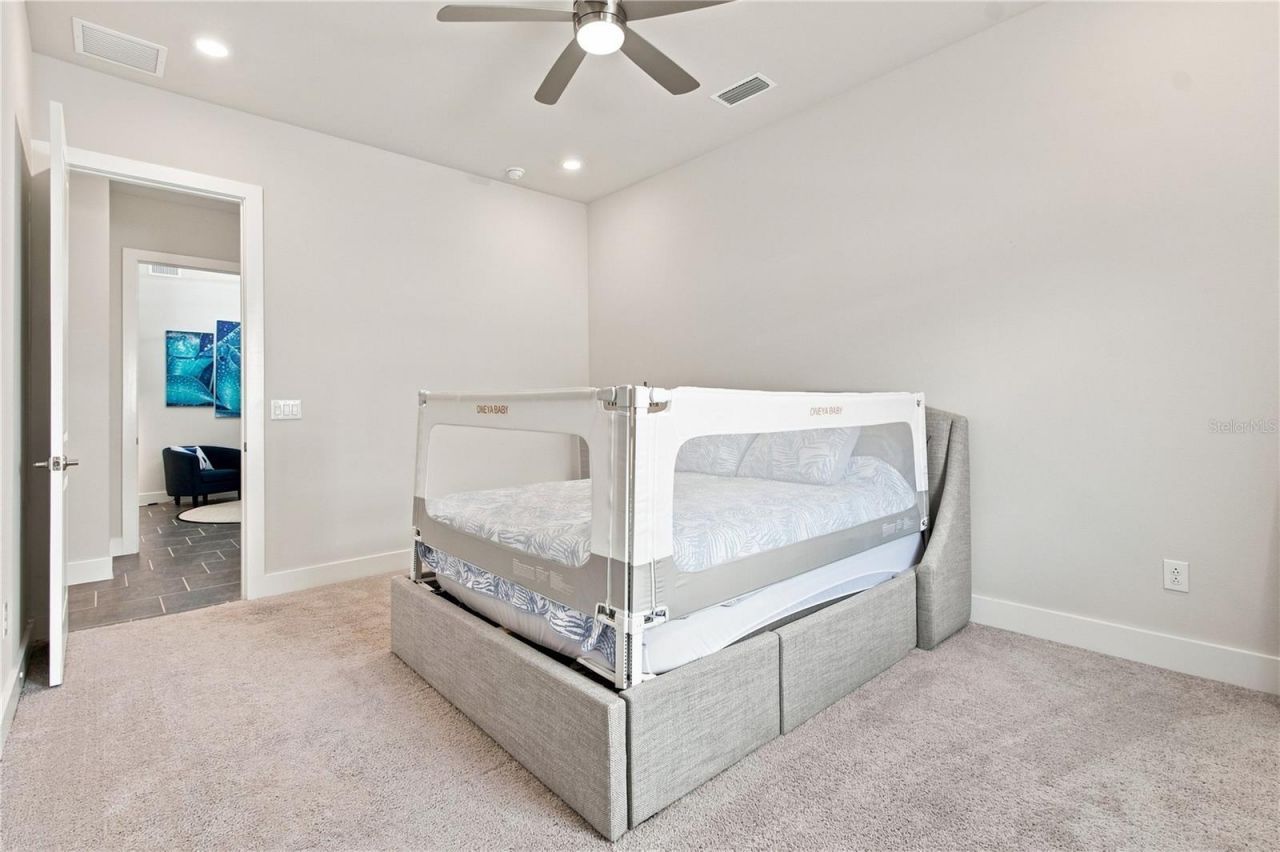 8699 Ivy Stark Boulevard, Wesley Chapel, FL 33545 Photo