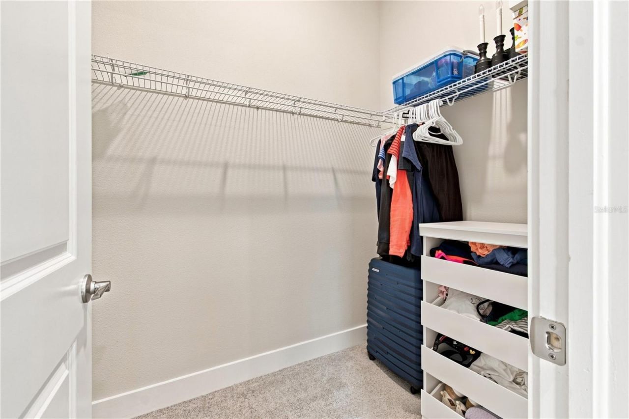 8699 Ivy Stark Boulevard, Wesley Chapel, FL 33545 Photo
