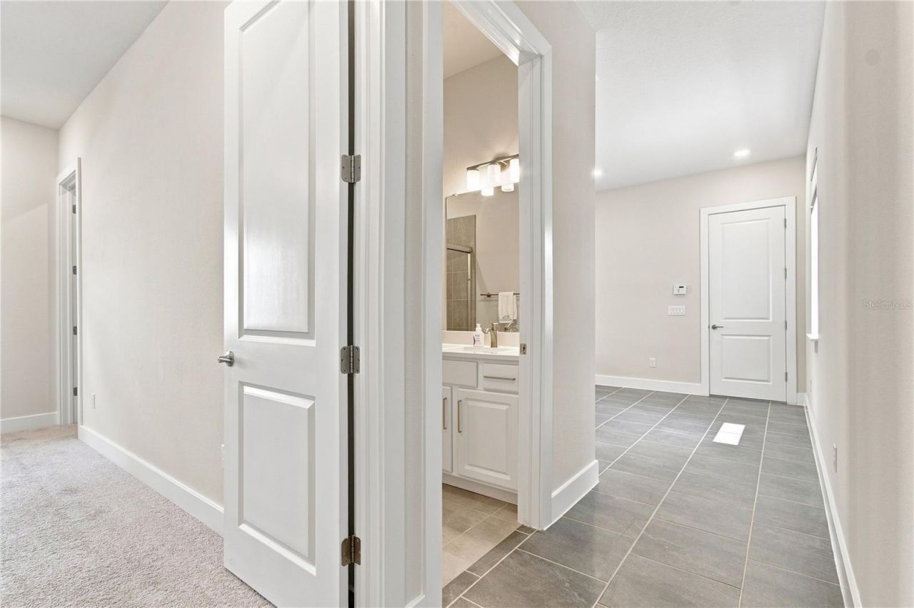 8699 Ivy Stark Boulevard, Wesley Chapel, FL 33545 Photo