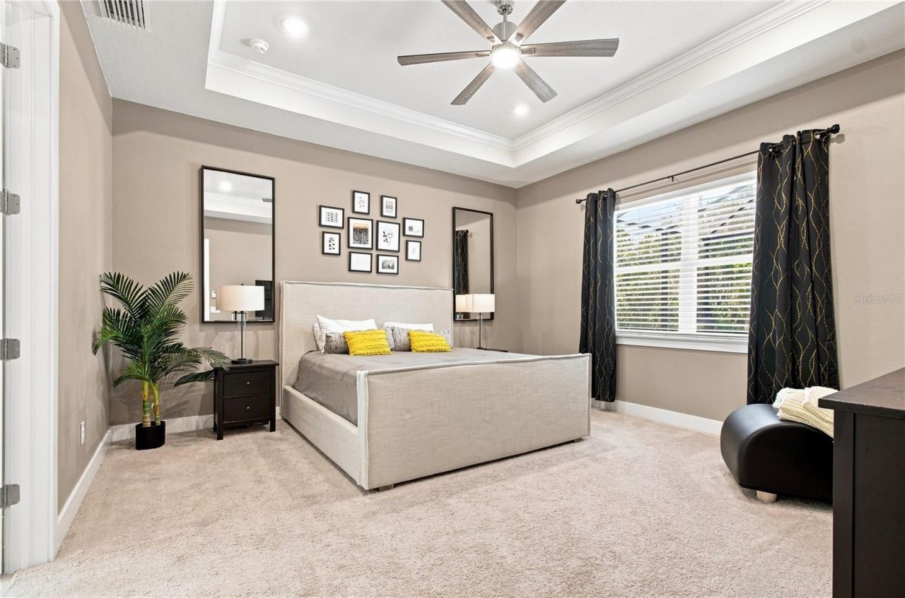 8699 Ivy Stark Boulevard, Wesley Chapel, FL 33545 Photo