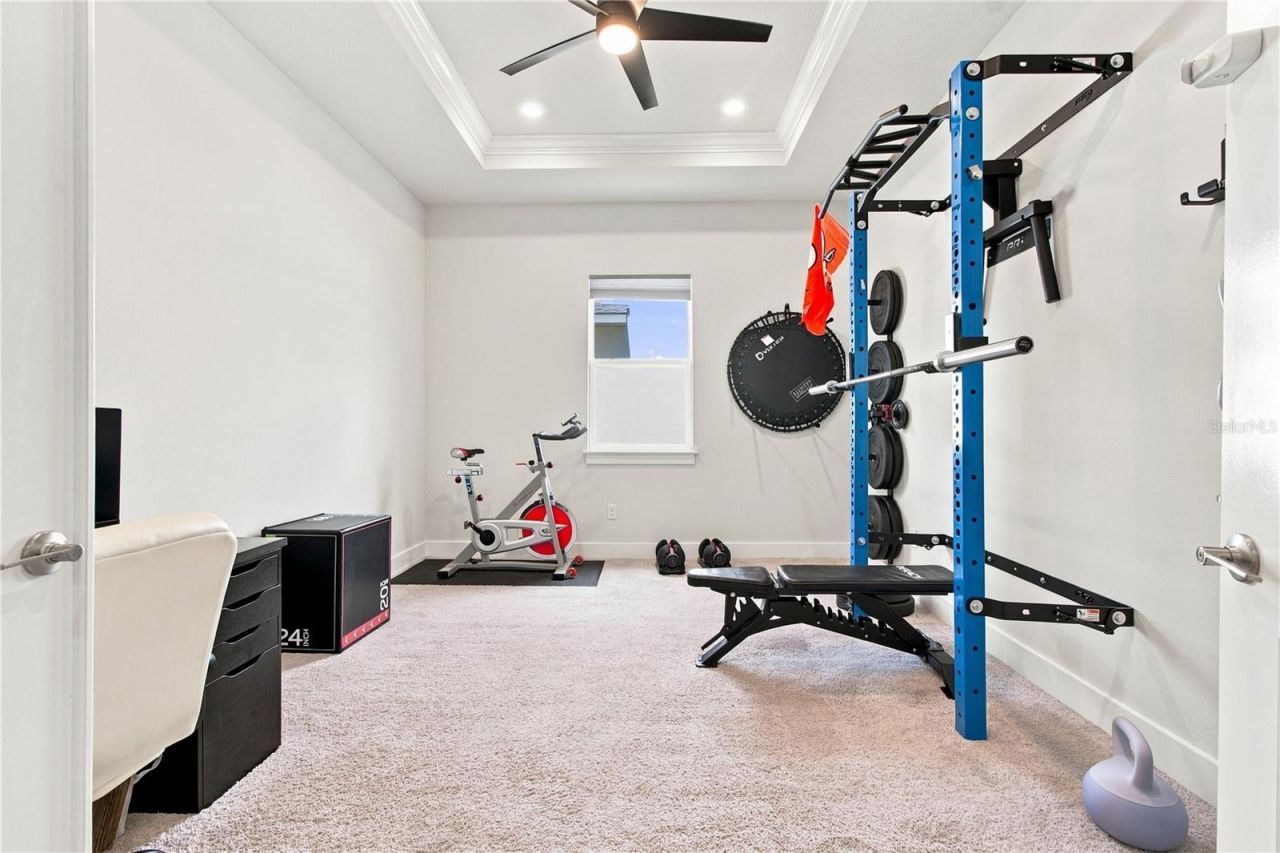 8699 Ivy Stark Boulevard, Wesley Chapel, FL 33545 Photo