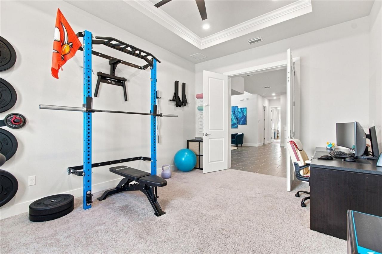 8699 Ivy Stark Boulevard, Wesley Chapel, FL 33545 Photo