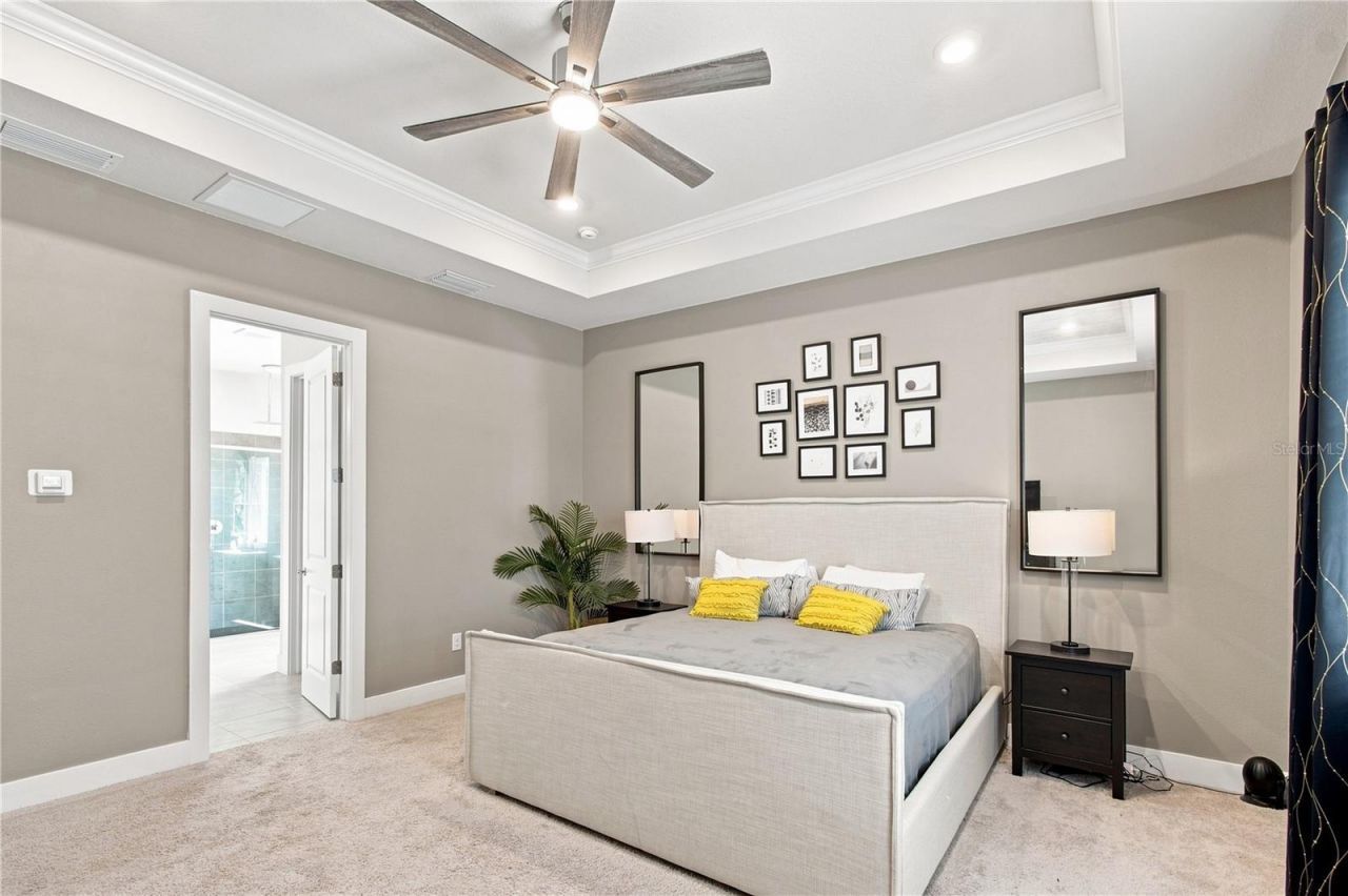 8699 Ivy Stark Boulevard, Wesley Chapel, FL 33545 Photo