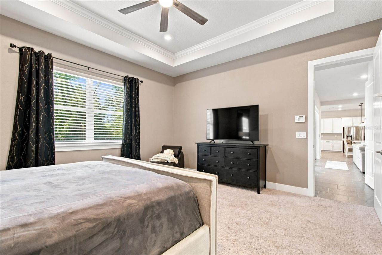 8699 Ivy Stark Boulevard, Wesley Chapel, FL 33545 Photo