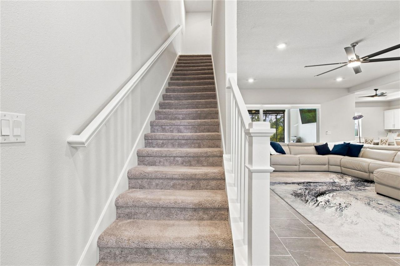 8699 Ivy Stark Boulevard, Wesley Chapel, FL 33545 Photo