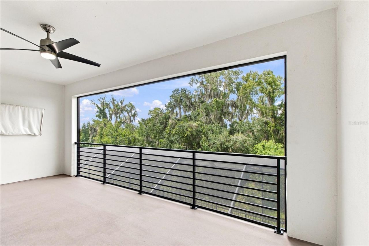 8699 Ivy Stark Boulevard, Wesley Chapel, FL 33545 Photo
