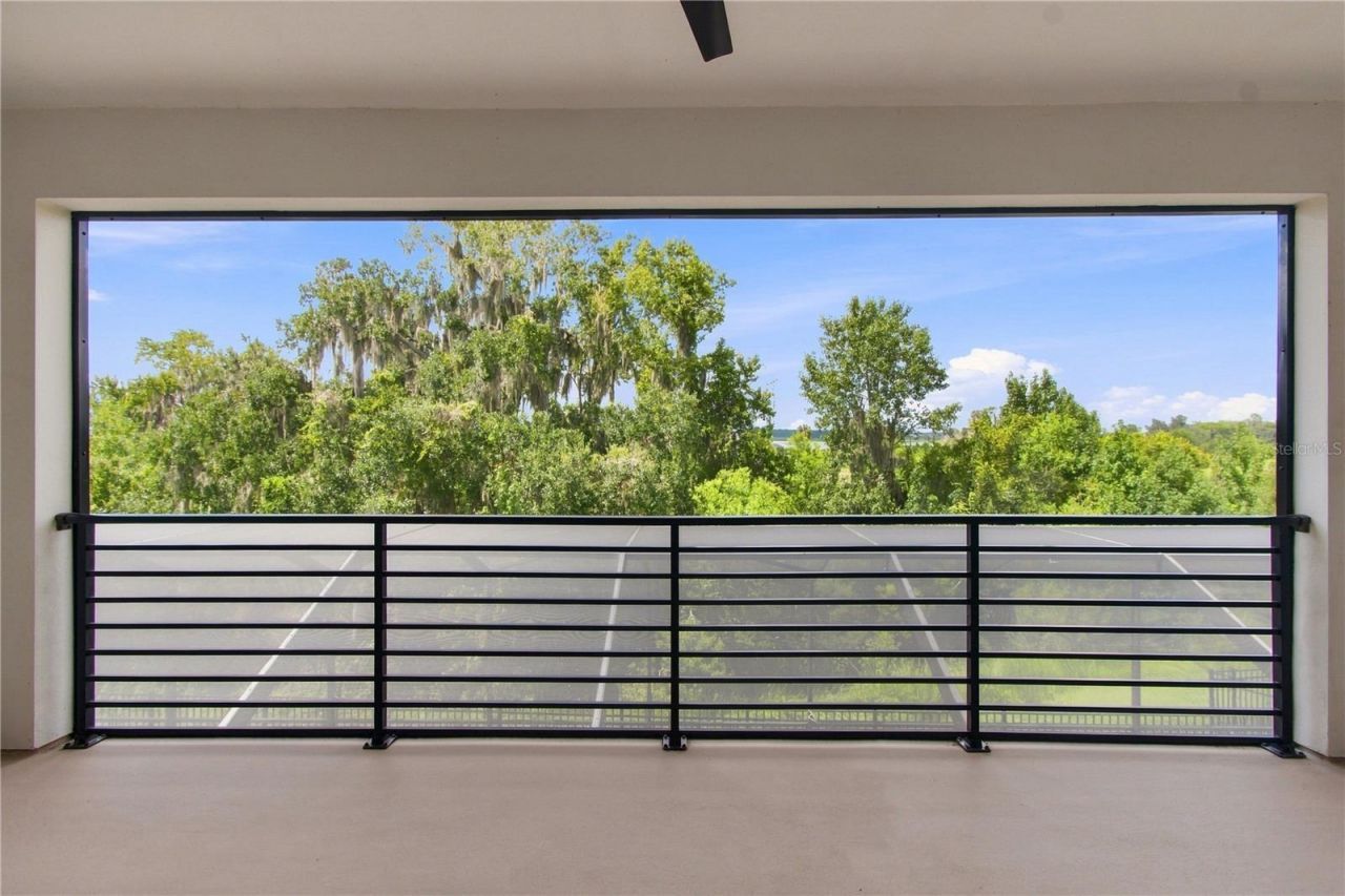 8699 Ivy Stark Boulevard, Wesley Chapel, FL 33545 Photo