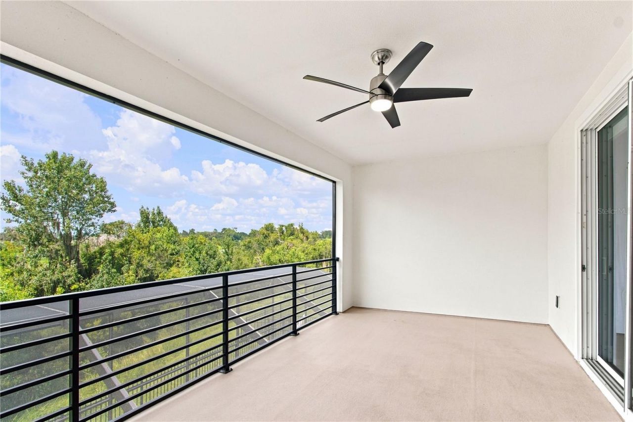 8699 Ivy Stark Boulevard, Wesley Chapel, FL 33545 Photo