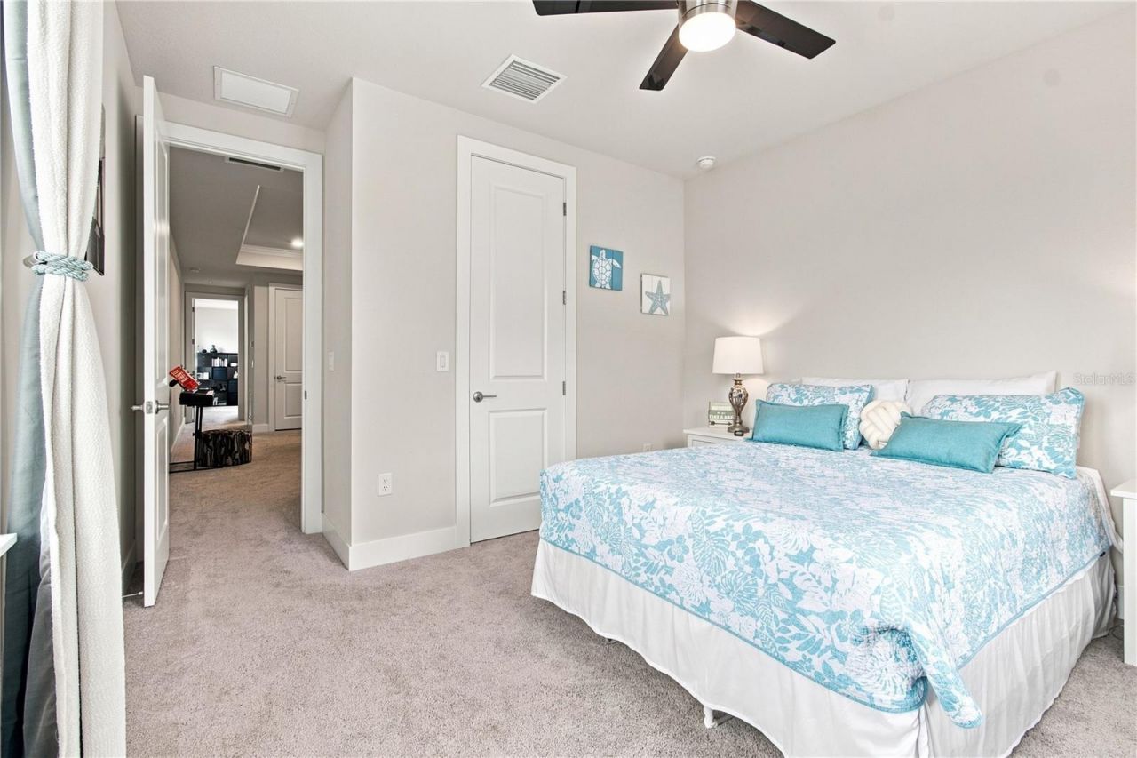 8699 Ivy Stark Boulevard, Wesley Chapel, FL 33545 Photo