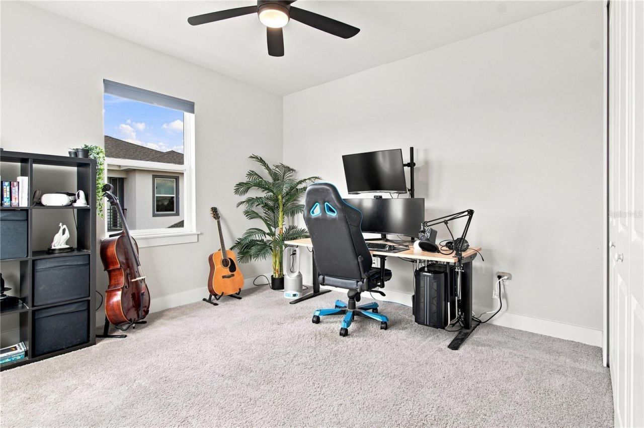 8699 Ivy Stark Boulevard, Wesley Chapel, FL 33545 Photo