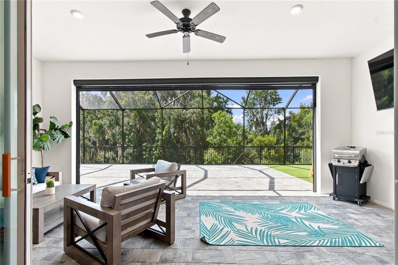 8699 Ivy Stark Boulevard, Wesley Chapel, FL 33545 Photo