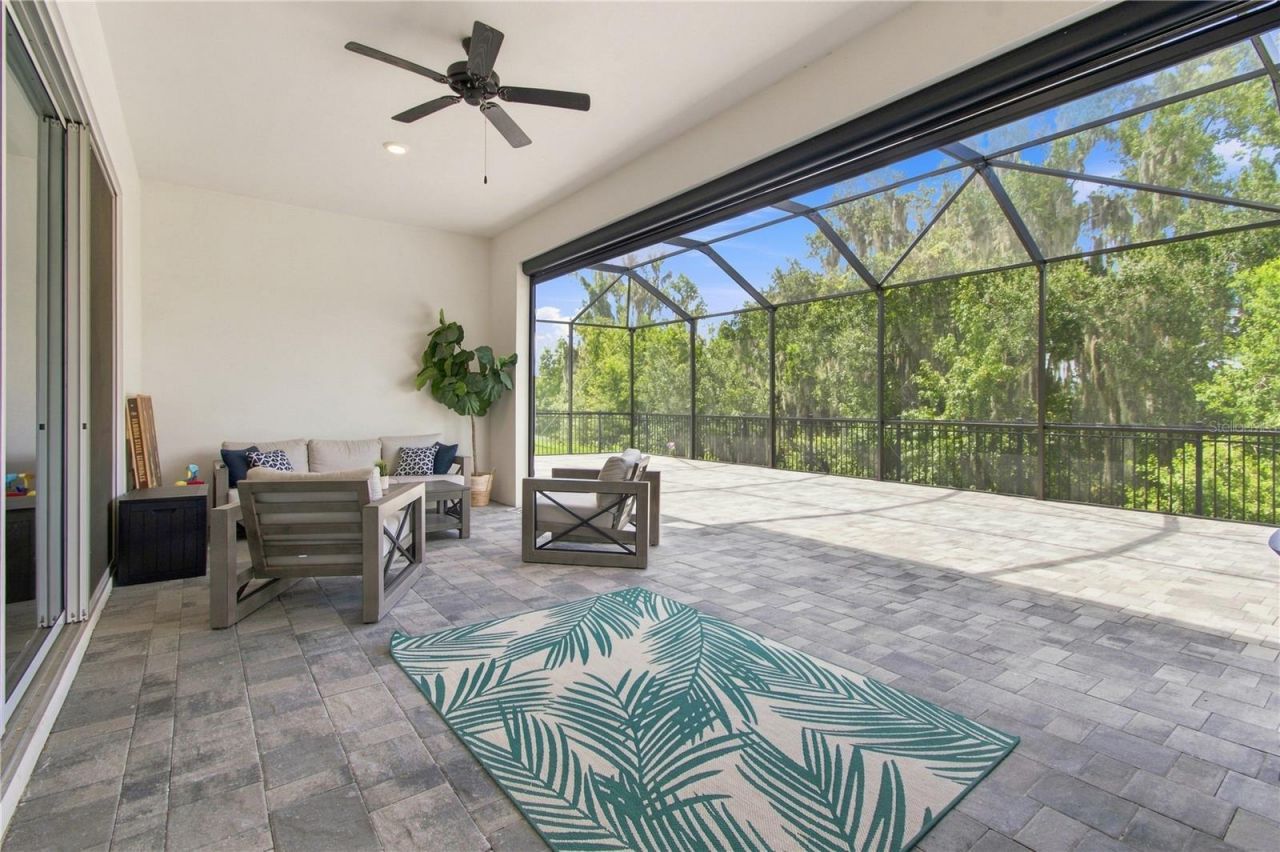 8699 Ivy Stark Boulevard, Wesley Chapel, FL 33545 Photo
