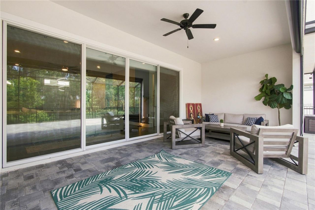8699 Ivy Stark Boulevard, Wesley Chapel, FL 33545 Photo