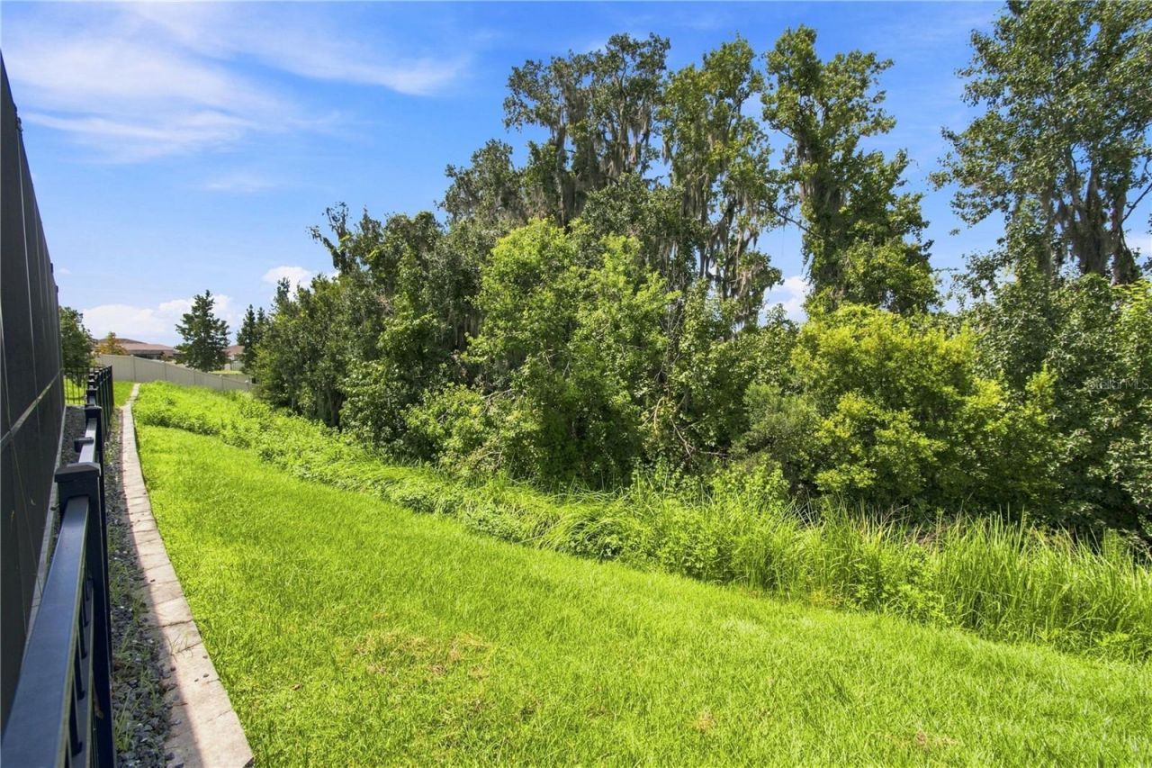 8699 Ivy Stark Boulevard, Wesley Chapel, FL 33545 Photo