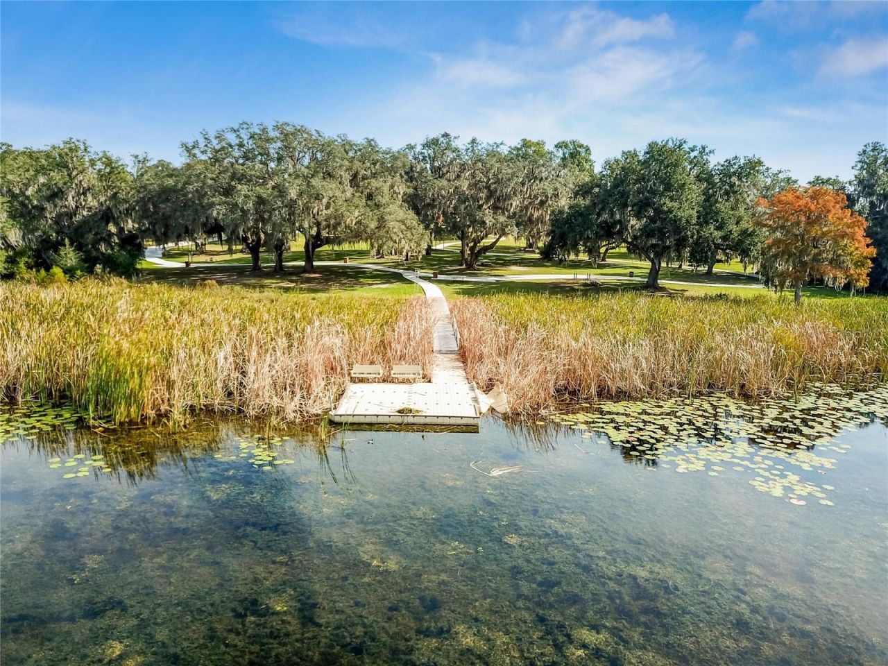 8699 Ivy Stark Boulevard, Wesley Chapel, FL 33545 Photo