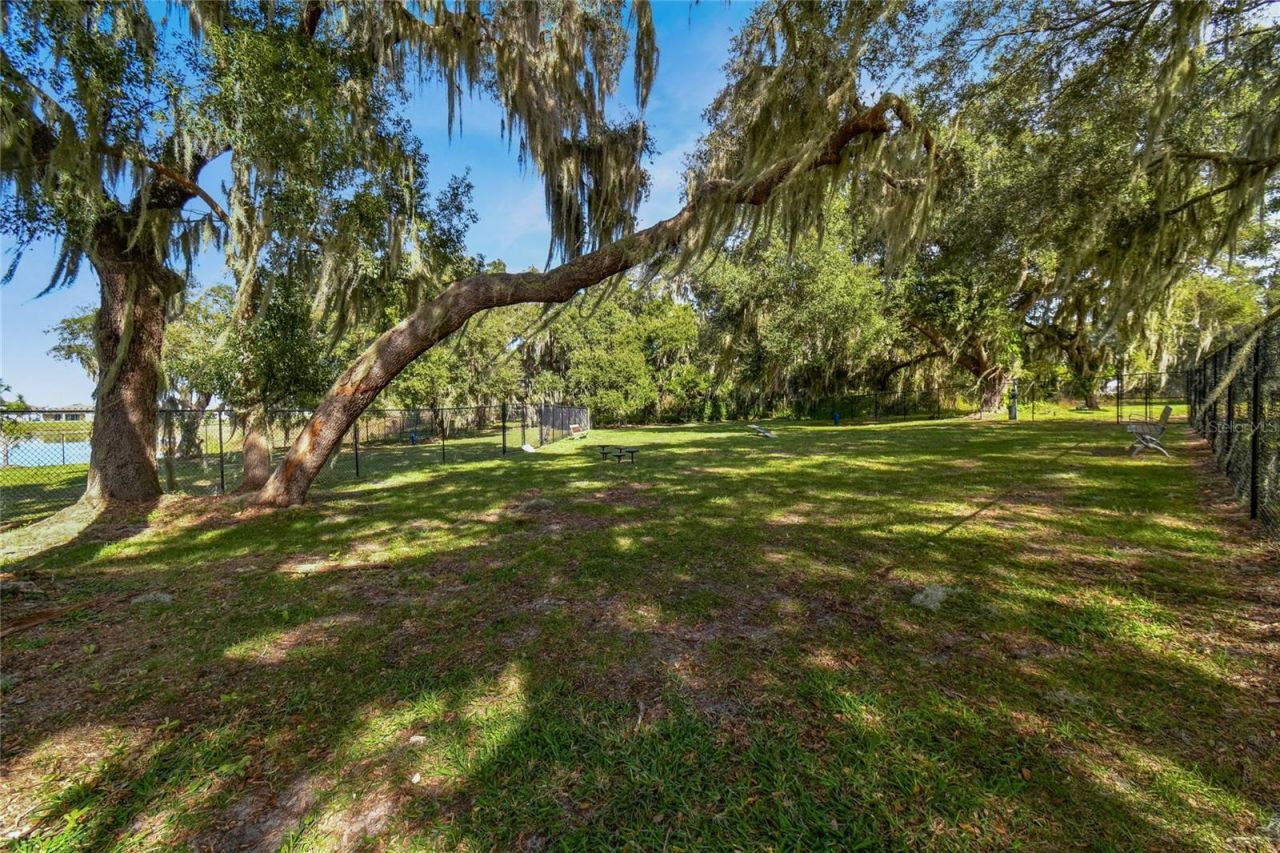 8699 Ivy Stark Boulevard, Wesley Chapel, FL 33545 Photo