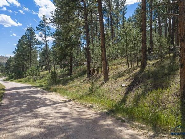 12463 SHERRY DRIVE, Custer, SD 57730