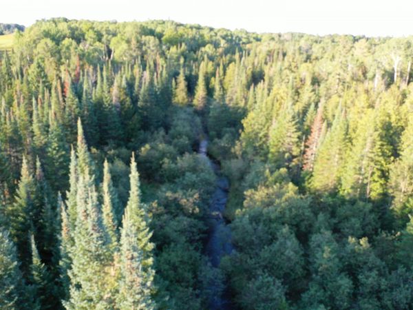 Townline Road, Rose City, MI 48654